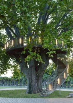 Sammode Elgar Casambi Seinävalaisin, 1000 Mm, Hiili - Messinki 11 Sammode Elgar Casambi Seinävalaisin, 1000 Mm, Hiili - Messinki -Louis Poulsen Myymälämyynti Elgar Sammode 7