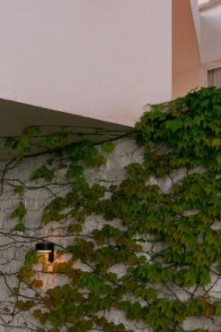 Marset Plaff-On A IP65 Seinävalaisin, Musta -Louis Poulsen Myymälämyynti MARSET HR PLAFF ON WALL WITH CLIMBING PLANT