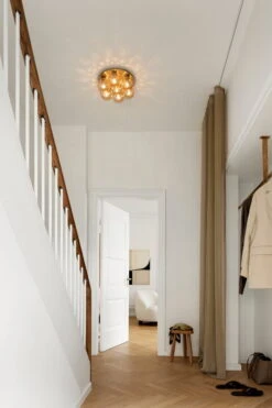 Nuura Apiales 7 Plafondi, Harjattu Messinki - Optic Gold 6 Nuura Apiales 7 Plafondi, Harjattu Messinki - Optic Gold -Louis Poulsen Myymälämyynti NUURA AW22 02