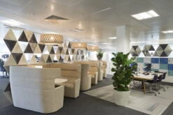 Pilke Lights Pilke P80 Riippuvalaisin, Koivu -Louis Poulsen Myymälämyynti PILKE 80 BIRCH 1