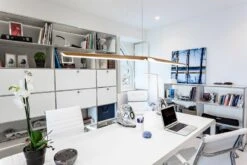 Tunto Swan Riippuvalaisin, 2700K, DALI Himmennettävä, Tammi -Louis Poulsen Myymälämyynti TUNTO SWAN TOPIC 003