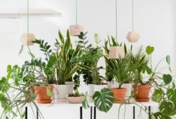 Showroom Finland Valo 003 Riippuvalaisin, Saarni -Louis Poulsen Myymälämyynti Valo pendants Credit Timo Junttila